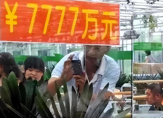 曾风靡全国的“骗局”被捧上神坛如今白菜价没人要