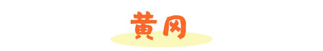 初冬之礼麦田团队动态20241118期(图3)