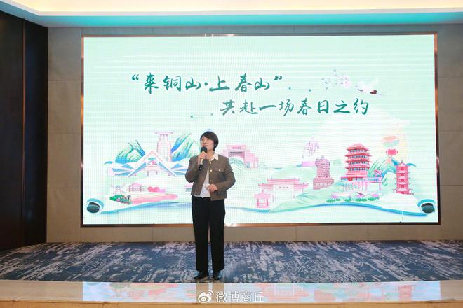 “国潮汉风·快哉徐州”2025徐州文旅推介会在商丘举办(图3)