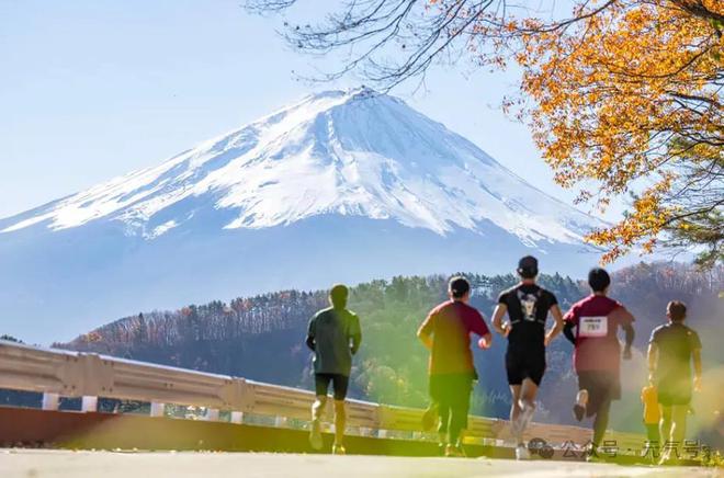 被山寨围攻的老鞋王悄悄拿下300亿(图6)
