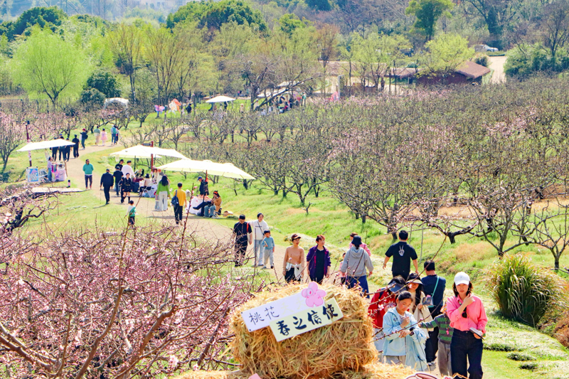 文化中国行丨国潮风劲吹春日文旅向“新”而行(图2)
