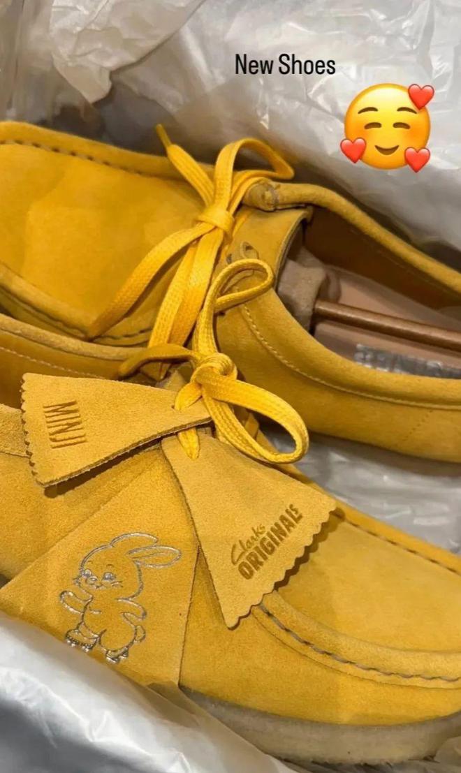 Lisa、王嘉尔加持LV潮鞋出圈！Rihanna、NewJeans联名款释出(图19)