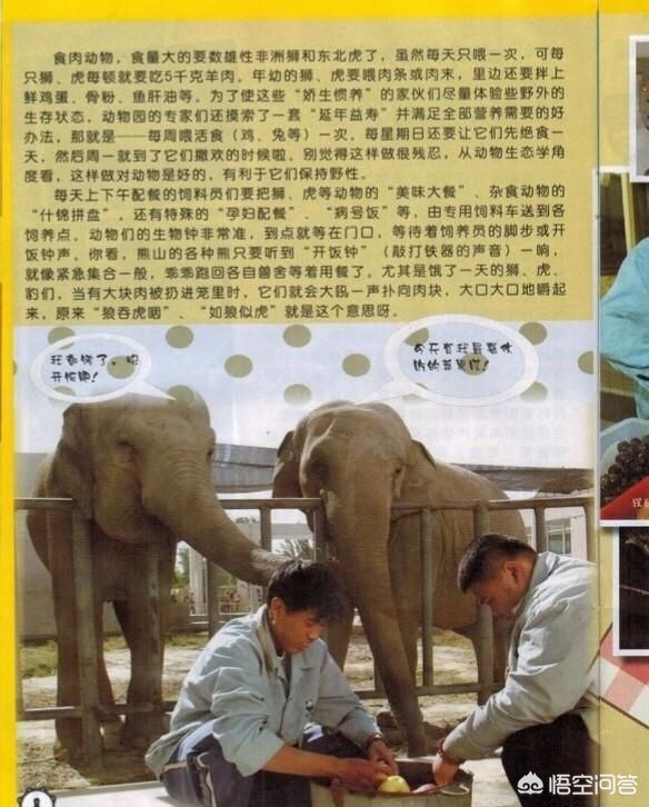 流行文化与传统文化如何使彼此增色？(图6)