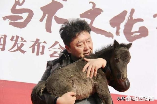 流行文化与传统文化如何使彼此增色？(图5)