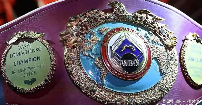 WBO宣布：乌西克VS杜布瓦二番战胜者必须立即接受帕克强制挑战(图6)