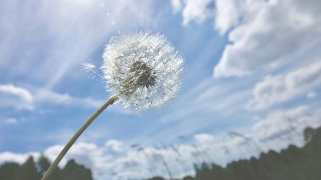 5、6、7月吉星高照！这三个属相最旺有福又有财吃苦受穷都难(图2)