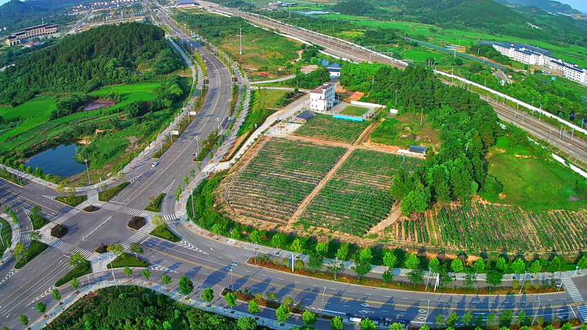 九游app入口：锲而不舍落实中央八项规定精神不合理的合同改了村民的心气儿顺了