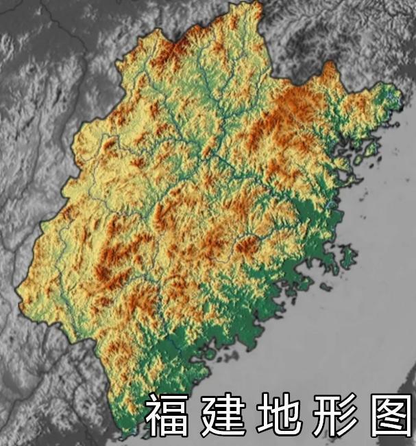 烧不尽的假鞋产业链：监管防不胜防谁在操控这场灰色狂欢？(图4)