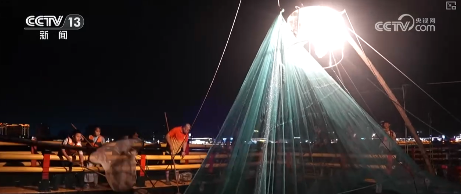 以创新为引擎向海图强“高科技养殖+文旅融合”释放现代海洋经济新活力(图2)