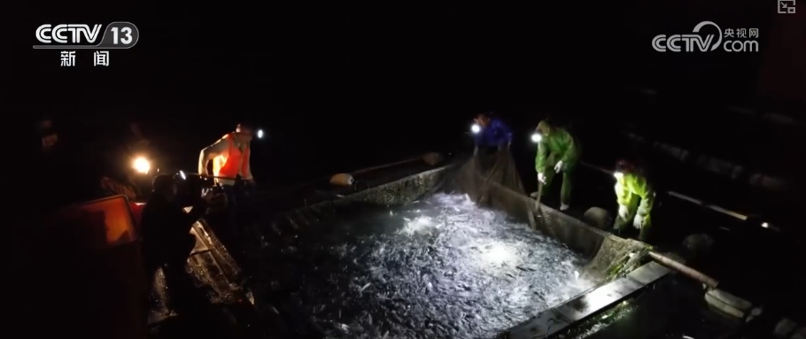 以创新为引擎向海图强“高科技养殖+文旅融合”释放现代海洋经济新活力(图19)