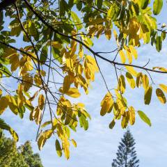 2024年男鞋推广广告语(图2)