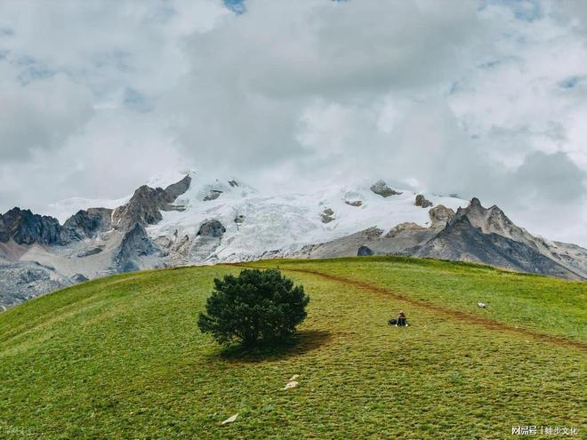 九游app入口：四川旅行社标杆推荐：企业商务与定制服务全能标杆全场景接待！