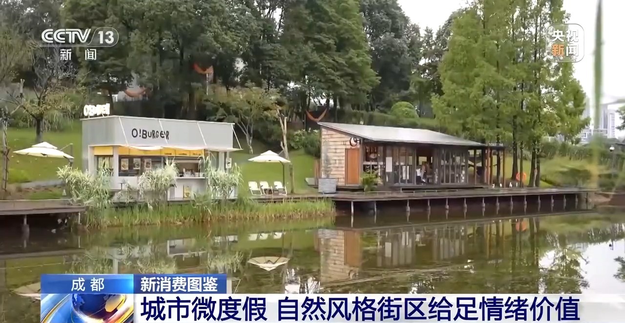 仪式感、反差感、氛围感拉满了带你解锁年轻人新消费图鉴(图16)