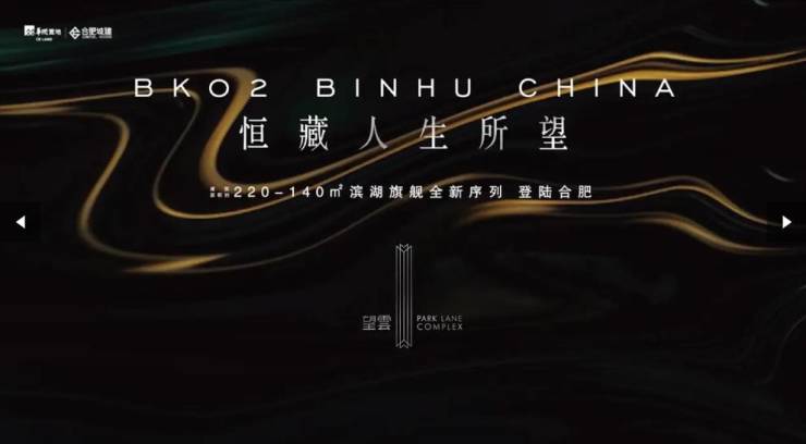 望雲：2025年合肥买房必看的新盘(图4)