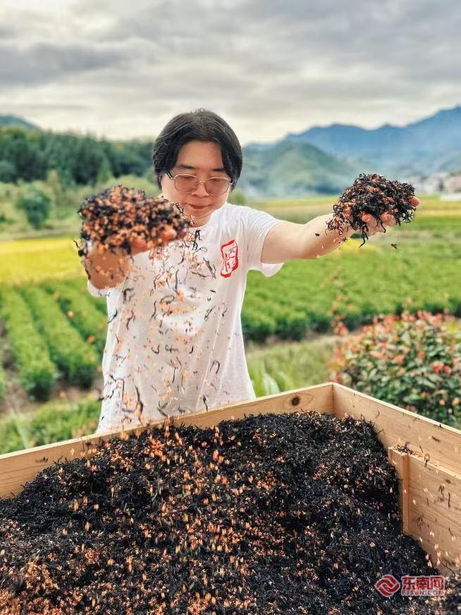 九游app：我们的“十五五”⑤闽茶入盏从生活品质到文化自信(图2)