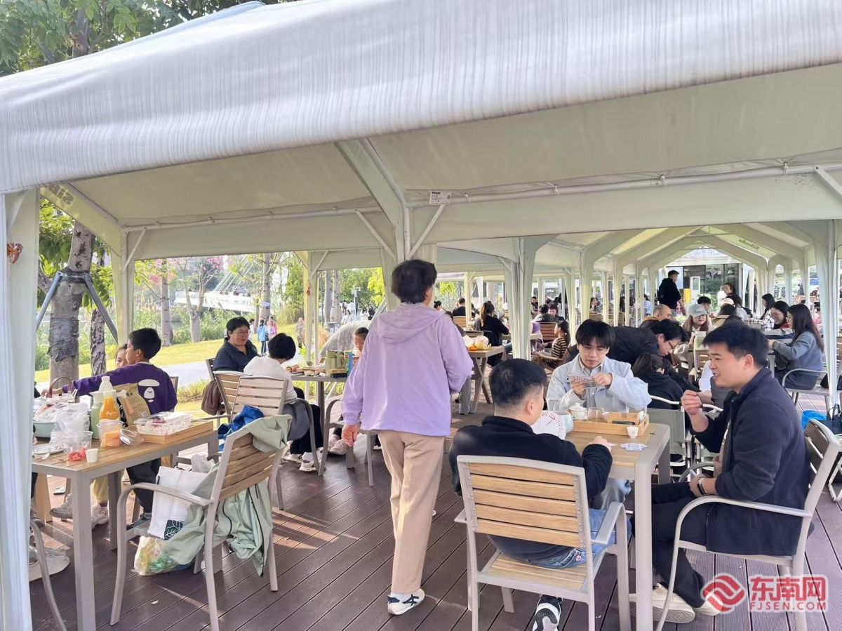 九游app：我们的“十五五”⑤闽茶入盏从生活品质到文化自信(图3)