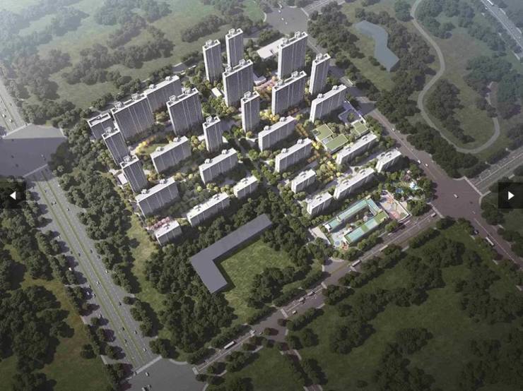 望雲新房周边配套-学区(图2)