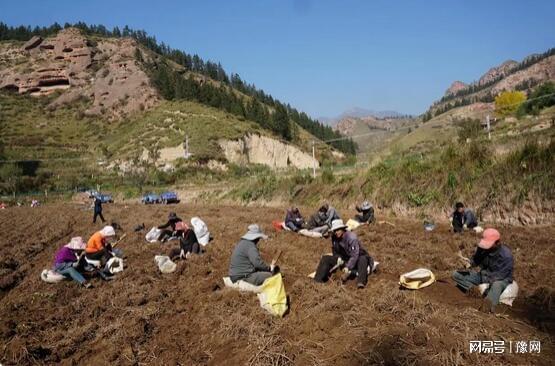 药香与田埂间的长征——段双奇的文化坚守(图2)