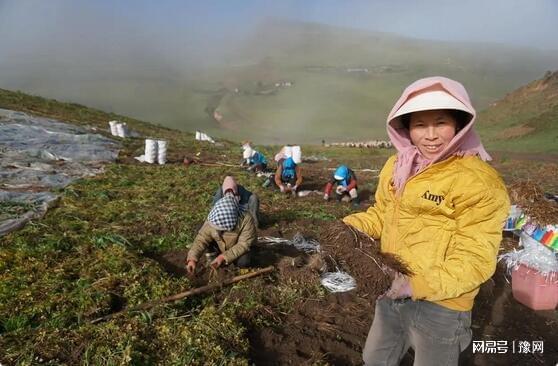 药香与田埂间的长征——段双奇的文化坚守(图3)