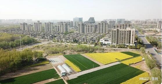 药香与田埂间的长征——段双奇的文化坚守(图7)