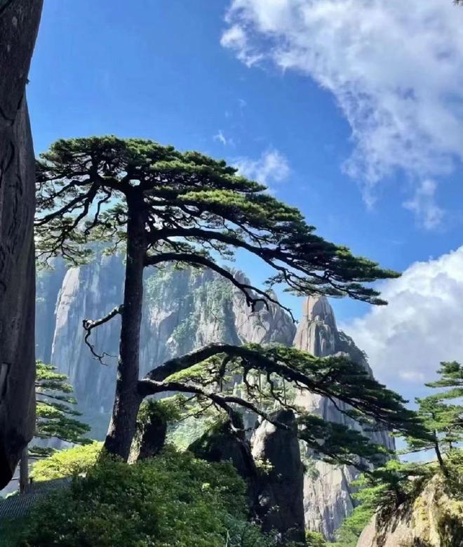 九游app入口：黄山必游精华景点指南黄山热门打卡地全攻略这样玩才不虚此行(图2)