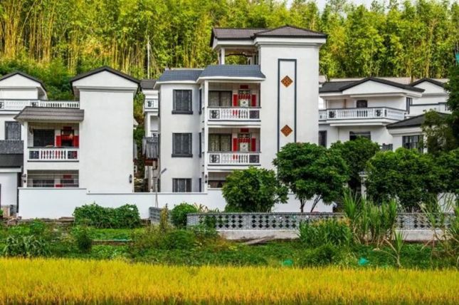 九游app：“环形动线”串起乡村好风光广宁荷木新村解锁文旅新玩法