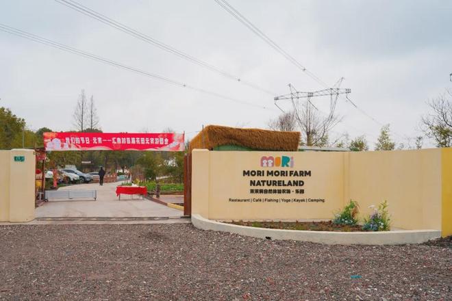 传统年俗、现代潮流、乡土风味……闵行“花式”闹元宵(图12)