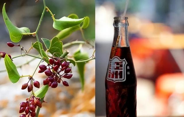 一瓶3块爆卖2亿！喝一口能把人送走的广东神饮让老表们疯抢了(图5)