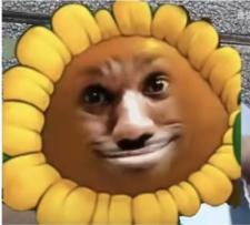 流言板]美媒：奇才成为历史上首个连续三个赛季输掉64场比赛的球队(图6)