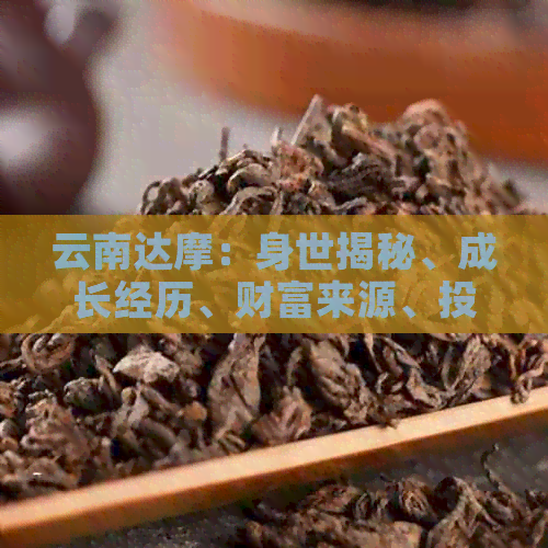 云南达摩：身世揭秘、成长经历、财富来源、投资理念还是富二代？