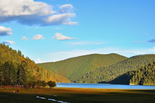 五一去云南西双版纳腾冲旅游5天报团旅行社路线攻略+必备物品(图4)