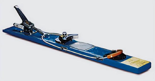 安踏的豪赌：萨洛蒙能否成为下一个“始祖鸟”？(图4)