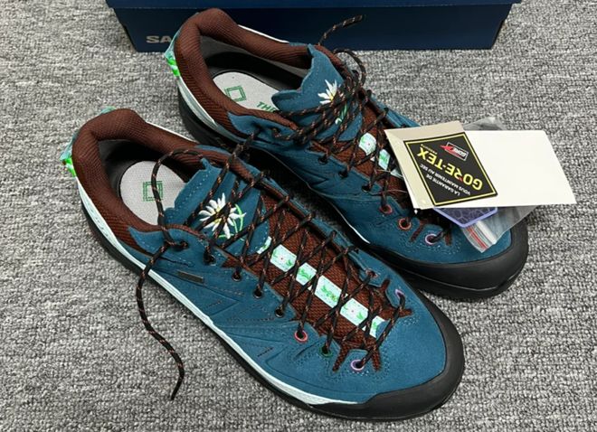 安踏的豪赌：萨洛蒙能否成为下一个“始祖鸟”？(图10)