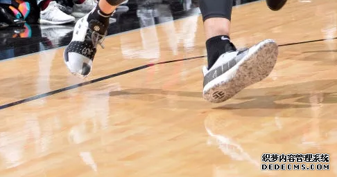 NBA12月14号球星上脚球鞋有哪些 NBA12月14号球星上脚球鞋清单 NBA12月14号球星上脚球鞋有哪些 NBA12月14号球星上(图16)